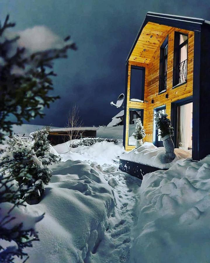 Vista Durmitor - Luxury Cabin Zabljak  Exterior photo